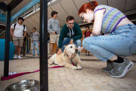 BeyondtheEvent:SupportingAnimalWelfareandResponsiblePetOwnership