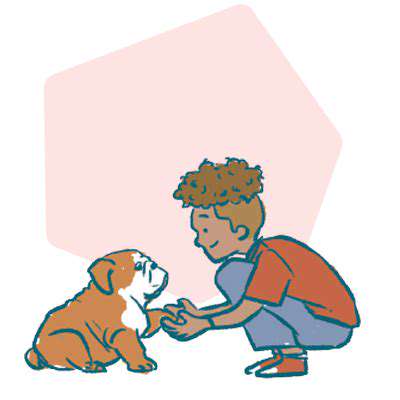Decoding Pet Body Language: Understanding Your Companion