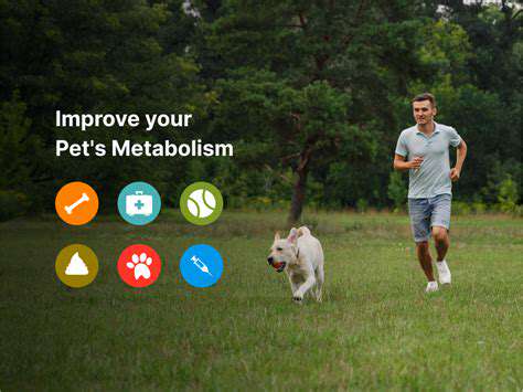 MaintainingaHealthyMetabolicBalanceinYourPet