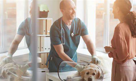 NavigatingtheCostofVeterinaryCare