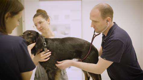 ResearchingPotentialVeterinarians:GoingBeyondtheYellowPages