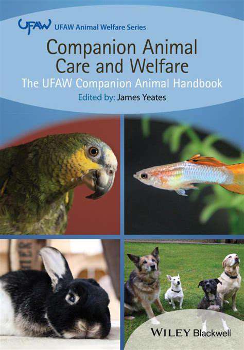 Understanding Animal Law: Protecting Pets and Owners