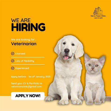 SeekingProfessionalVeterinaryCare