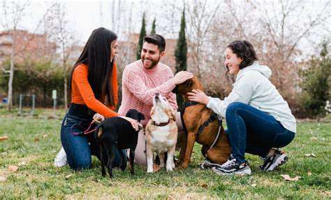 The Benefits of Owning a Dog for Physical Activity