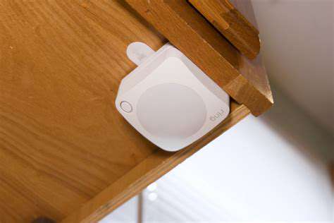 Smart Litter Boxes: Revolutionizing Cat Care