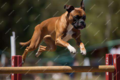 Agility:ACourseofChallengesandTriumphs