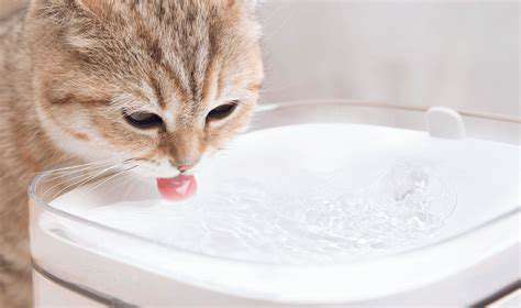 The Latest Smart Pet Feeders for Portion Control