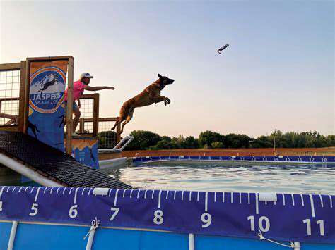 DockDiving:ASplashofFunandAthleticism