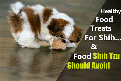 Choosing Low Calorie Treats for Your Pet