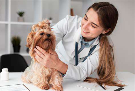Wearable Sensors for Pet Sleep Analysis