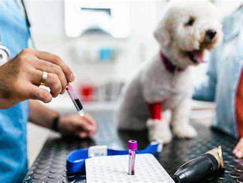 MolecularDiagnostics:ADeeperLookatPetHealth