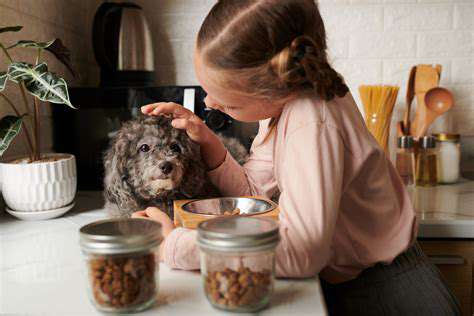 Personalized Pet Food Delivery Services: Convenience and Customization