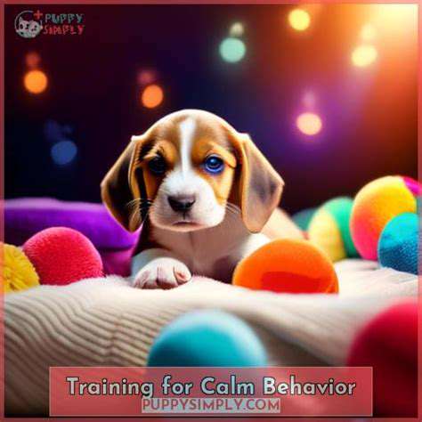 Teaching Your Dog to Be Calm in the House