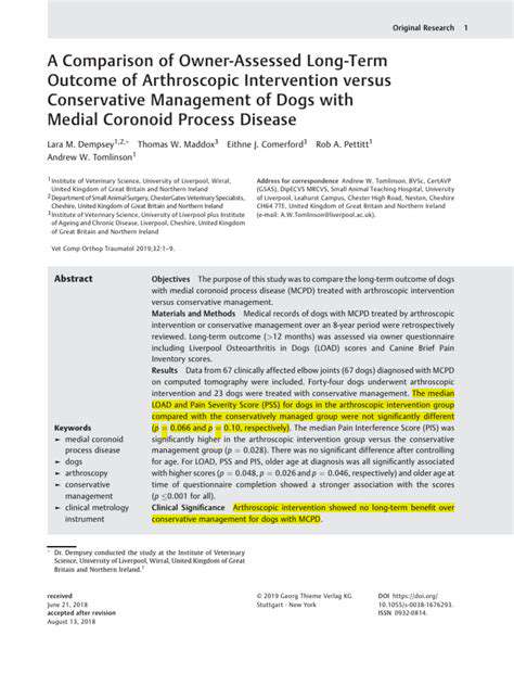Recognizing Signs of Hypoglycemia in Small Breeds in Winter