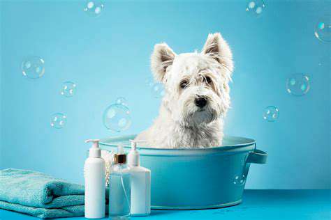Automated Pet Baths and Drying Systems
