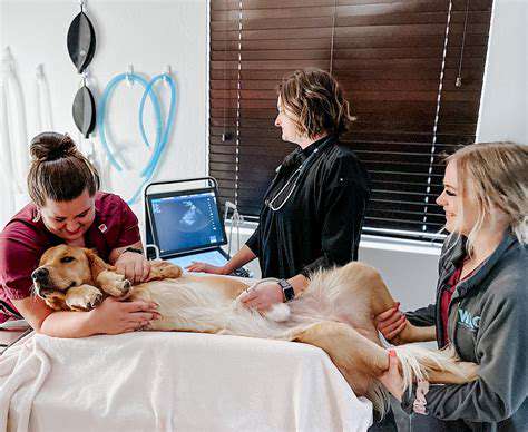 Understanding Pet Anesthesia: Risks and Precautions