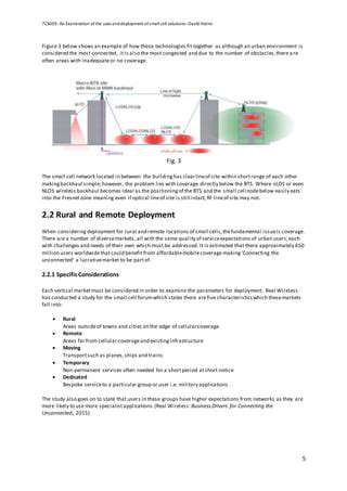 The Role of Environmental Enrichment in Pet Well being