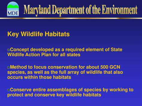 Supporting Organizations That Protect Wild Animals: Get Involved