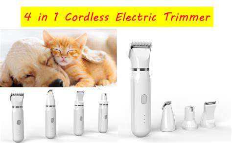 Creative Pet Haircuts: Expressing Your Pet's Personality