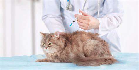 Vaccinations:ProtectingYourPetfromInfectiousDiseases